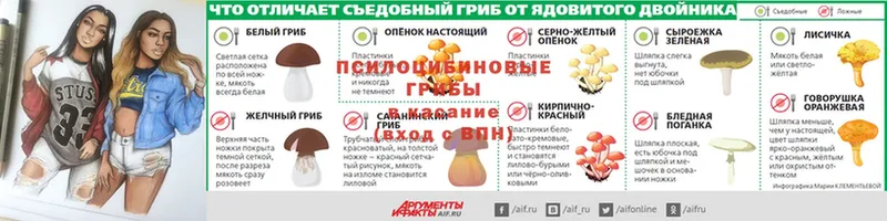 Галлюциногенные грибы ЛСД  где найти наркотики  Инсар 